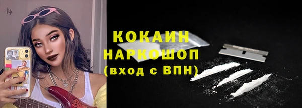 стафф Арсеньев