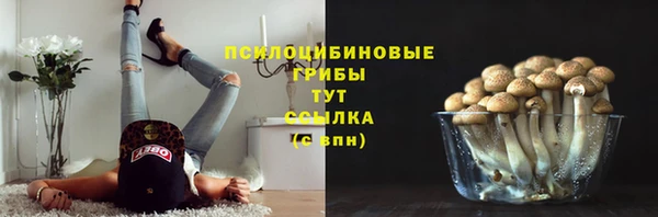 мяу мяу мука Покачи