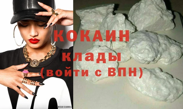 стафф Арсеньев